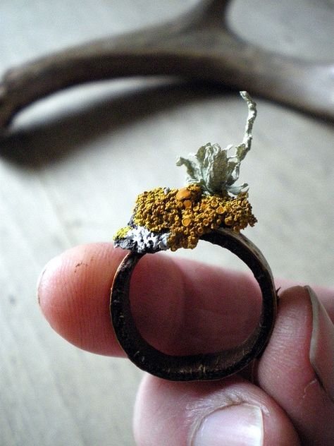 {florals & minerals} / a ring of birch and lichens by lilfishstudios, via Flickr Beautiful Beautiful, Blackbird, Contemporary Jewellery, Contemporary Jewelry, Antlers, Wearable Art, Jewelry Art, Jewelry Inspiration, Beautiful Jewelry