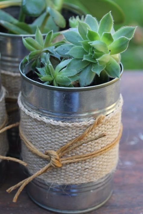 DIY Ideas With Old Tin Cans - Succulents In Recycled Tin Cans - Rustic Farmhouse Decor Tutorials and Projects Made With An Old Tin Can - Easy Vintage Shelving, Wall Art, Picture Frames and Home Decor for Kitchen, Living Room and Bathroom - Creative Country Crafts, Craft Room Storage, Silverware Holder, Rustic Wall Art and Accessories to Make and Sell Recycled Tin Cans, Balkon Decor, Succulent Ideas, Plant Succulents, Recycled Tin, Tin Can Crafts, Deco Nature, Types Of Succulents, Planting Ideas