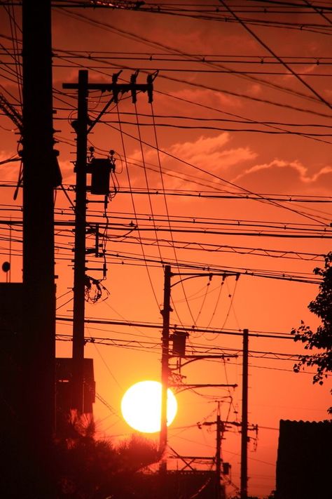 Photo Aesthetic Orange, Something In The Orange Aesthetic, Orange Photography Aesthetic, Orange Japanese Aesthetic, Aesthetic Orange Photos, Aesthetic Orange Pictures, Warm Orange Aesthetic, Orange Vibes Aesthetic, Sunset Orange Aesthetic