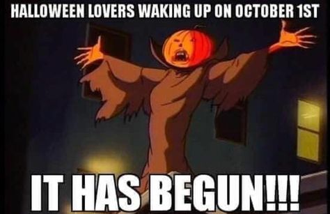 HALLOWEEN LOVERS WAKING UP ON OCTOBER 1ST IT HAS BEGUN!!! #halloween #spooky #pumpkin #meme #funny #fall Happy October 1st, Happy Halloween Quotes, Morning Gifs, Helloween Wallpaper, Spooky Memes, Halloween Memes, Halloween Queen, Happy October, Funny Horror