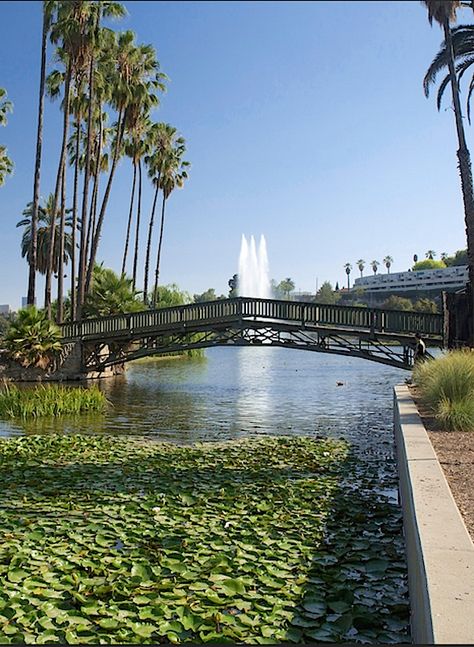 Echo Park, Los Angeles, California Los Angeles Nature, Echo Park Lake Los Angeles, Los Angeles Skateboarding, Lake Bridge, California Cities, Echo Park Los Angeles, Echo Park Lake, Iconic Los Angeles Locations, Los Angeles Parks