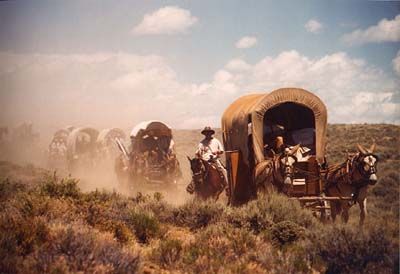 Westward Expansion Webquest Pioneer Living, Western Expansion, Primitive Skills, Pioneer Life, Westward Expansion, Manifest Destiny, Homestead Farm, The Oregon Trail, Perfect Captions