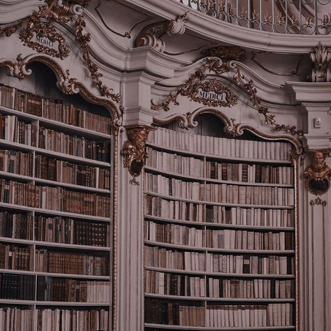 Dark Library Aesthetic, Home Library Aesthetic, Ballroom Aesthetic, Dark Academia Aesthetic Wallpaper, Maxon Schreave, Aesthetic Laptop, Laptop Wallpapers, Aesthetic Dark Academia, Library Aesthetic