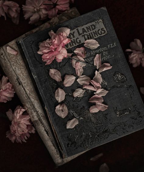 aesthetic dark academia vintage floral book photography Tumblr Dark Academia, Fairy Academia Aesthetic, Aesthetic Book Photography, Dark Academia Flowers, Smell Of Old Books, Fairy Academia, Book Photoshoot, Literature Aesthetic, Darkest Academia