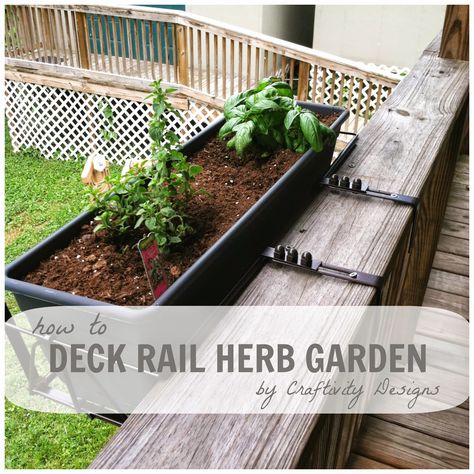 Small Space Gardening (20+ Great Ideas) Patio Herb Garden, Deck Railing Planters, Herb Garden Planter, Deck Planters, Herbs Indoors, Small Space Gardening, Deck Garden, Balcony Garden, Great Ideas