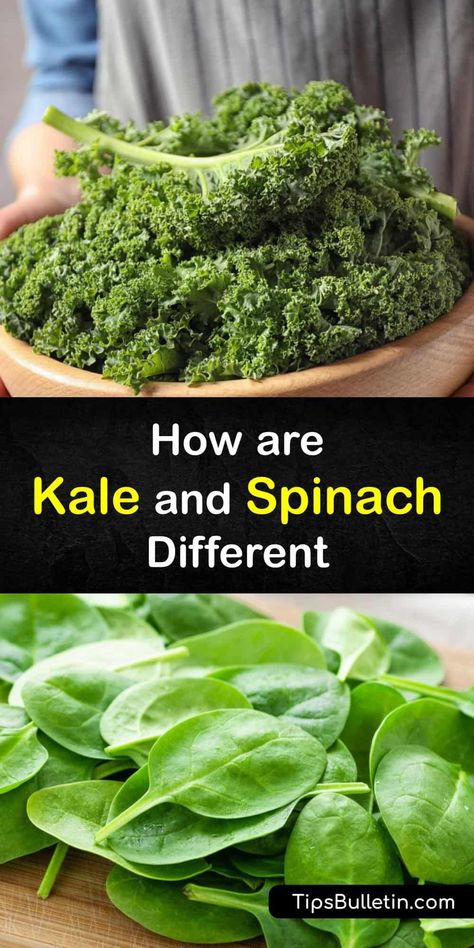 Health Benefits Of Kale, Kale Benefits Health, Alkaline Diet Benefits, Healthy Fruits And Vegetables, Raw Spinach, Kale And Spinach, Healthy Food Facts, Green Veggies, Alkaline Diet