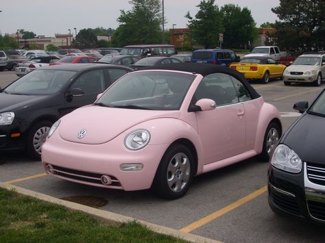 Pink Bug Car, Pink Car Aesthetic, Pink Buggy, Cute Pink Car, Pink Vw Beetle, Pink Volkswagen, Pink Volkswagen Beetle, Pink Beetle, Buggy Car