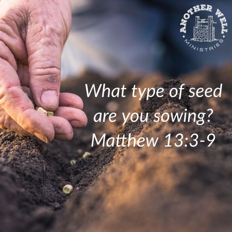 We will reap what we sow. What type of seed are you sowing? #bible #jesus #hope #bibleverse #verseoftheday #pray #church #prayer #jesuschrist #worship #faith #godisgood #christianliving #livegodsword #gospel #god #biblestudy #christianity #christianlife #christian #christ #holyspirit #scripture Reap What You Sow, Show Me The Way, Christian Memes, Seeking God, Faith Inspiration, Reminder Quotes, Daily Devotional, What Type, Scripture Verses