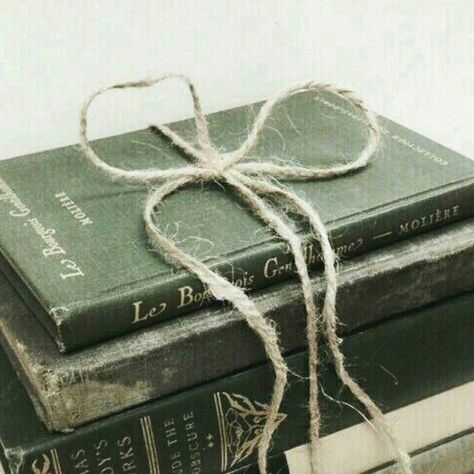 Books are the gifts that keep on giving. (Photo by: @aminoapps) Scorpius Malfoy, Stile Harry Potter, Slytherin Pride, Neville Longbottom, Barbara Gordon, Gilbert Blythe, Slytherin House, Slytherin Aesthetic, Anne Shirley