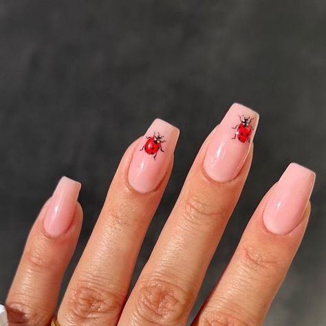 Stacey on Instagram: "Handpainted ladybirds 🐞🤍 Do you think they’re cute or creepy? I think cute 🥺" Ladybird Nails, Nail Biting, Kawaii Nails, Dipped Nails, Cute Acrylic Nails, Pink Nails, Nail Inspo, Acrylic Nails, You Think