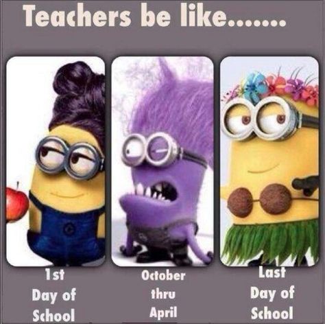 Life as a teacher! Despicable Me Minion Teachers. Minion Sayings, Minion Memes, Minion Mayhem, Teacher Quotes Funny, Exams Funny, Hilarious Quotes, Minion Pictures, Minion Jokes, School Funny