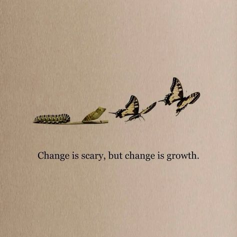 #growth #phase #life #transformation #happy Happy Growth Quotes, Personal Growth Pictures, Growth Aethstetic, Personal Growth Vision Board, Growth Representation, Evolution Aesthetic, Growth Word, Quote About Growth, Personal Growth Aesthetic