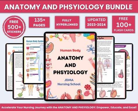 Anatomy & Physiology Bundle with Flashcards and Stickers | Anatomy Study Guide | Nursing School Notes | Medical Notes | Instant Download PDF Anatomy And Physiology Notes Study, Physiology Flashcards, Anatomy And Physiology Notes, Physiology Notes, Notes Study, Nursing Study Guide, High School Biology, Human Body Anatomy, Nursing School Notes