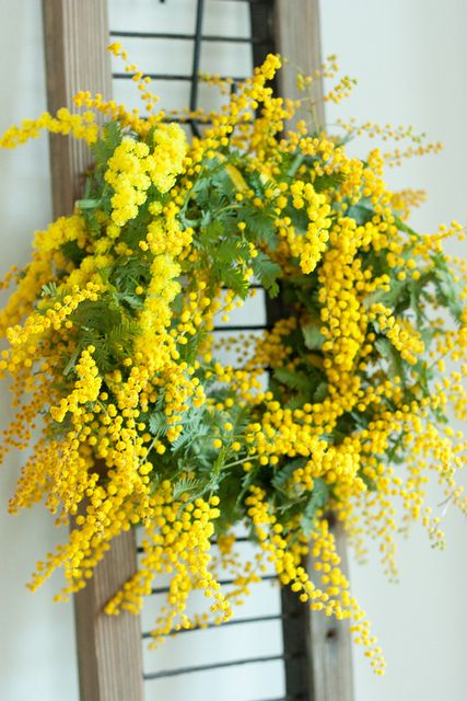 #couronne de #fleurs Wreath Hanging, Yellow Wreath, Yellow Cottage, Seasonal Wreaths, Wreaths & Garlands, Deco Floral, Arte Floral, Wreath Crafts, Mellow Yellow