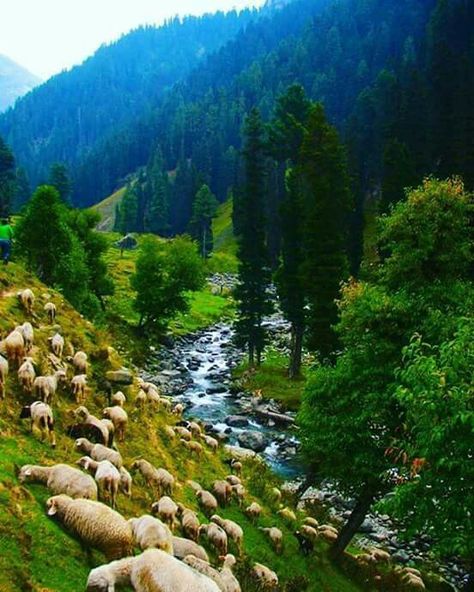 Aru valley Aru Valley, Araku Valley, Srinagar, Stunning View, The Valley, Bucket List, Natural Landmarks, Water, Travel