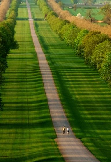 "Un paseo por el parque" Gran Parque de Windsor, Berkshire, Reino Unido este es el camino que conduce al Castillo de Windso Famous Castles, Windsor Castle, Beautiful Castles, Foto Art, Green Grass, Two People, Oh The Places Youll Go, A Walk, Beautiful World