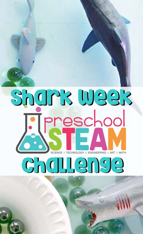 Shark Lesson Plans Preschool, Shark Week Preschool, Sharks Preschool, Shark Preschool, Shark Project, Shark Week Crafts, Preschool Steam, Preschool Ocean, Shark Books