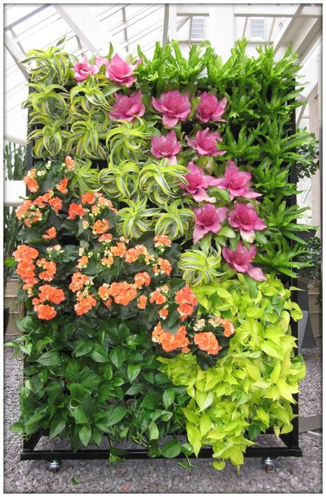 Hanging Plant Ideas, Hanging Garden Ideas, Green Wall Garden, Vertikal Garden, Vertical Garden Plants, Vertical Succulent Gardens, Gardening Aesthetic, Artificial Green Wall, Tattoo Plant