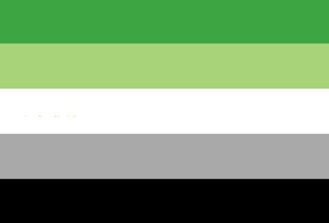 Queer Pride Flag, Ace Flag, Lgbtq Flags, Lgbt Flag, Gender Identity, Lgbtq Pride, Lgbt Pride, Pride Flags, Black Aesthetic