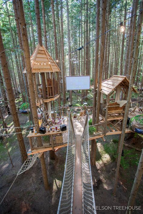 Multi Tree Treehouse, Livable Tree Houses Plans, Epic Tree Houses, Treehouse With Bridge, 3 Tree Treehouse, Tree House Homes Modern, Tree House Slide, Treehouse Inside Ideas, Tree House Bridge