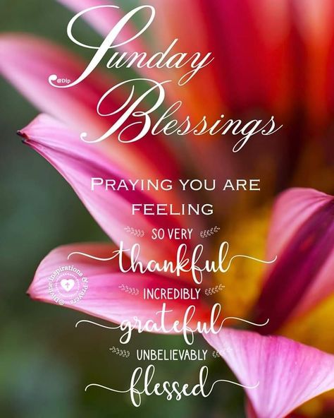 Sunday Blessings Inspiration Scriptures, Sunday Scripture, Sunday Greetings, Sweetheart Quotes, Sunday Blessings, Morning Sweetheart, Sunday Love, Good Morning Sweetheart Quotes, Happy Sunday Quotes