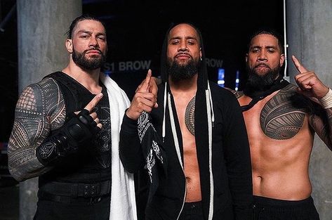 612 Likes, 4 Comments - Big Dog Yard (@realguyx) on Instagram: “#thebloodline on top 🔥 -…” Joshua Fatu, Usos Wwe, Kobe Bryant Michael Jordan, Jimmy Uso, Roman Reigns Family, The Bloodline, Roman Reigns Shirtless, Joe Anoaʻi, The Shield Wwe