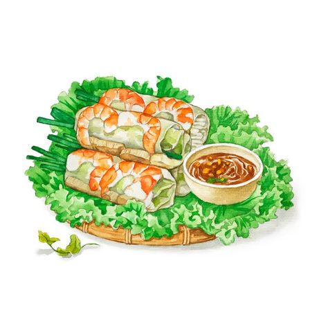 Vietnamese Food Illustration, Vietnamese Spring Rolls, Pork Salad, Viet Food, Asian Street Food, Vietnam Food, Food Sketch, Food Artwork, Food Cartoon