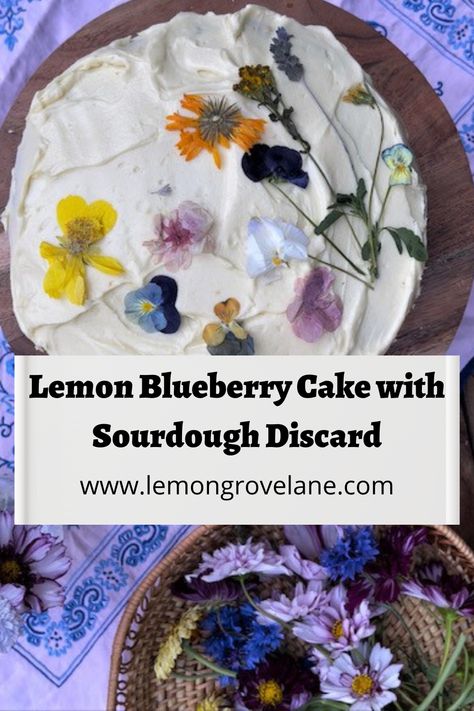 Easy Lemon Blueberry Cake with Sourdough Discard - Lemon Grove Lane Easy Lemon Blueberry Cake with Sourdough Discard Easy Lemon Blueberry Cake with Sourdough Discard Pond Cake, Lemon Blueberry Bundt Cake, Lemon Ricotta Cake, Blueberry Bundt Cake, Blueberry Pound Cake, Lemon Blueberry Cake, Chocolate Zucchini Bread, Lemon Grove, Lemon Bundt Cake