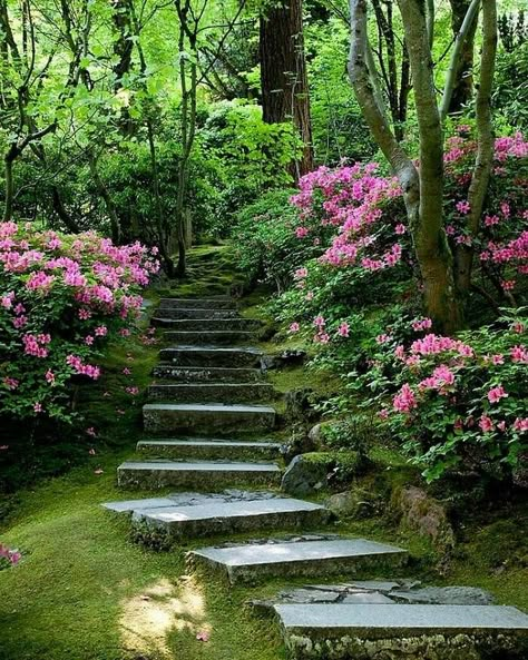 Taman Vintage, Garden Stairs, Garden Steps, Japanese Landscape, Garden Pathway, Green Forest, The Secret Garden, Alam Yang Indah, Garden Cottage