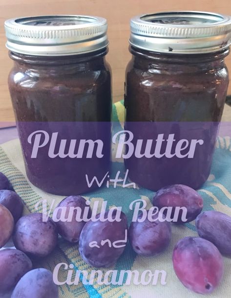 Italian Plum Canning Recipes, Crockpot Plum Butter, Plum Butter Recipe Crockpot, European Plum Recipes, Plum Butter Crockpot, Wild Plum Recipes Food, Wild Plums Recipes, Apple Plum Recipes, Wild Plum Butter Recipe