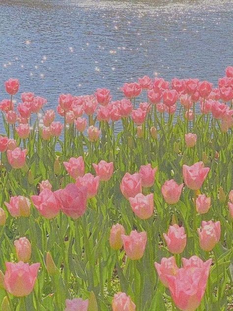 Tulips Art Painting Wallpaper, Tulip Landscape Painting, Drawing Field Of Flowers, Tulip Gouache Painting, Painting Ideas On Canvas Tulips, Field Of Tulips Painting, Tulip Field Drawing, Tulip Gouache, Tulips Drawing Aesthetic