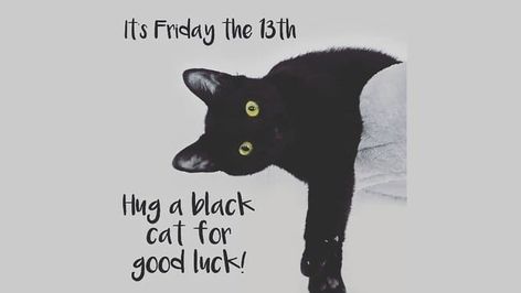 "Did you know? Friday the 13th has been considered an unlucky day for centuries, but in some cultures, it’s actually a symbol of good fortune! 🌟 What do you think – lucky or spooky? Share your thoughts below! 👇" Friday The 13th, Good Fortune, A Symbol, Good Luck, Black Cat, Did You Know, Thinking Of You, Kitty