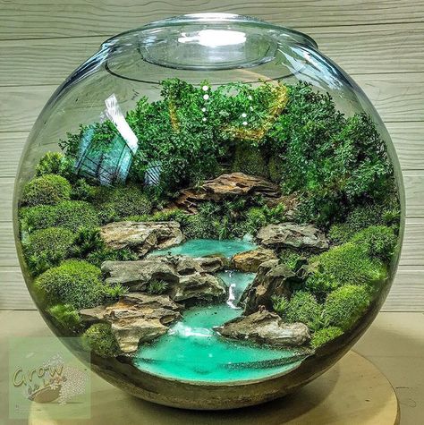 Terrarium Imaginarium on Instagram: “Water scene made by @growdelove from Thailand 🇹🇭 #terrariumimaginarium” Terrarium Scene, Water Terrarium, Tanaman Air, Fairy Terrarium, Large Terrarium, Terrarium Centerpiece, Cactus Terrarium, Miniature Terrarium, Beautiful Terrariums