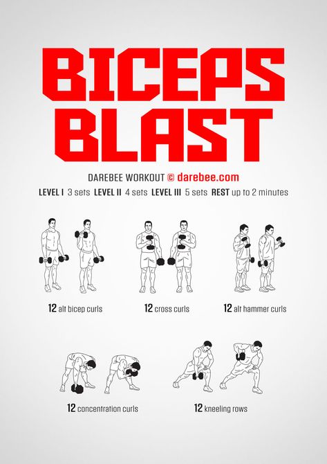 Biceps Workout Dumbbell Men, Arm Workout Men Dumbell, Dumbell Workout For Men Biceps, Biceps Workout For Men At Home, Most Effective Bicep Workout, Bicep Calisthenics Workout, Slim Workout At Home, Grow Biceps Fast, Big Arms Workout Men Dumbell