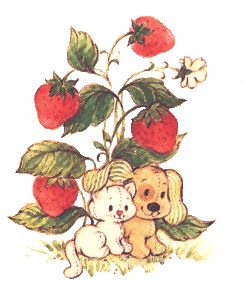 Strawberry Shortcake Cartoon, Strawberry Plant, Strawberry Shortcake Characters, Vintage Strawberry Shortcake, Mia 3, American Greetings, Vintage Cartoon, Strawberry Shortcake, Pretty Art