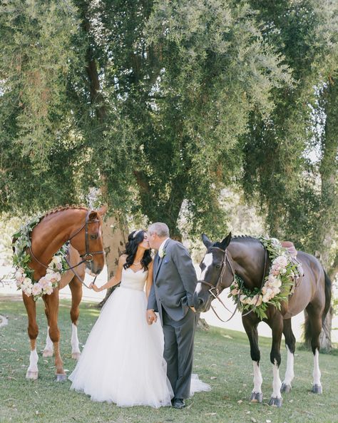 Horse Wedding Photos, Country Wedding Pictures, Equestrian Wedding, Cowgirl Wedding, Horse Wedding, Wedding Pets, Mod Wedding, Western Wedding, Wedding Pics