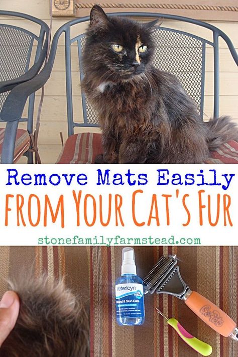 Remove Mats Easily from Your Cat's Fur - Stone Family Farmstead Matted Cat Fur, Cat Grooming Tools, Matted Hair, Cat Towers, Pet Tips, Long Haired Cats, Kitty Stuff, Senior Cat, Outdoor Cats