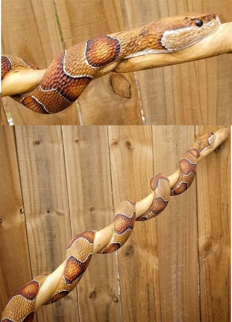 Snake Carving, Snake Wood, Snake Photos, Handmade Walking Sticks, Drawing Scenery, Hand Carved Walking Sticks, Dremel Carving, Canes And Walking Sticks, Dremel Wood Carving