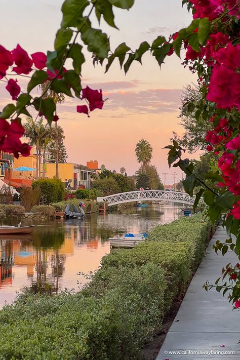 Venice Canals Day In La, Things To Do In California, Dates In Los Angeles, Los Angeles Date Night, Things To Do In La, Date Ideas San Diego, Date Night San Diego, Venice Canals California, Los Angeles Itinerary