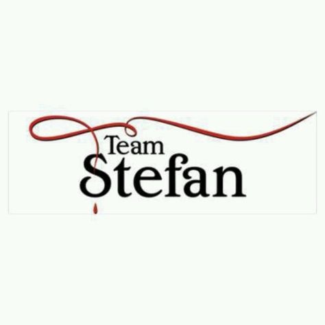 I'm team STEFAN<3 love him I Love Stefan Salvatore, Team Stefan Salvatore, Team Stefan, The Vampire Diaries Characters, Vampier Diaries, The Vampire Diaries 3, Vampire Diaries Stefan, Hope Mikaelson, Paul Wesley