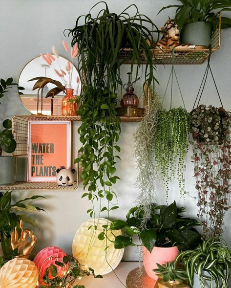 Apartment Jungle, Boho Plant Decor, Earthy Home, Salon Suites, Plant Decor Indoor, Home Organisation, Apartment Life, House Plants Decor, Room With Plants