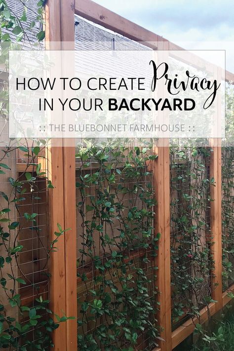 Diy Fence Trellis Ideas, Diy Freestanding Trellis, Taller Fence Ideas, Metal Trellis Ideas For Privacy, Trellis Along Fence Line, Diy Trellis Privacy Screen, Outdoor Trellis Wall Privacy Screens, Diy Jasmine Trellis, Jasmine Privacy Screen