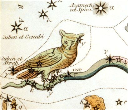 Owl of Atlases Past Sidney Hall, Ursa Major, Ancient Myths, Crown Of Thorns, Historic Preservation, Astronomer, Cool Names, Star Patterns, 21st Century