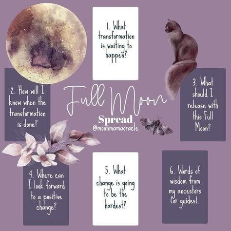 Tarot Spreads Full Moon, Full Moon Oracle Spread, Full Moon Spread, Witchy Cabinet, Oracle Cards Art, Full Moon Tarot Spread, Oracle Spreads, Full Moon Tarot, Oracle Card Spreads