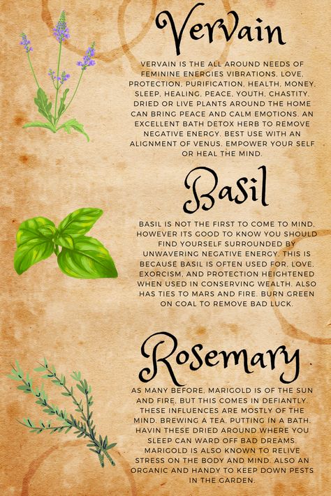 Herbs For Detoxing, Witch Herbs And Their Uses, Herbs And Their Uses Witchcraft, Herb Meanings, Herb Uses, Herbs And Their Uses, Herb Benefits, Learning Herbs, Detox Herbs