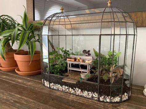 Home Victorian Terrariums, Wardian Case, Modern Terrarium, Large Terrarium, Diy Floral Decor, Beautiful Terrariums, Indoor Greenhouse, Garden Terrarium, Mini Plants