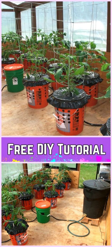 Container Gardening Tip DIY Alaska Grow Bucket System Tutorial Diy Container Gardening, Growing Tomato Plants, Bucket Gardening, Hydroponics Diy, Growing Tomatoes In Containers, Container Vegetables, Hydroponic Growing, Farm Stuff, Plants Growing