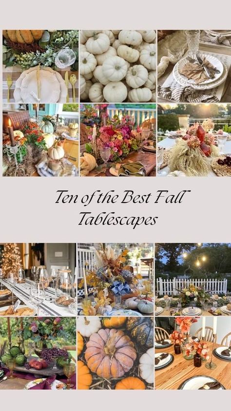 These are 10 beautiful fall tablescapes and decor ideas for your fall or holiday dining. Click to see them all. Casual Thanksgiving Table, Fall Tablescape Ideas, Outdoor Tablescapes, Halloween Tablescape, Fall Dinner Party, Tablescape Ideas, Tablescape Inspiration, Autumn Table, Harvest Table