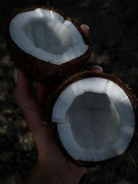 Coconut aesthetic, dark aesthetic, stories, фон для сторис, визуал для кокоса, обложки для сторис Brown Tropical Aesthetic, Tropical Dark Aesthetic, Deserted Island Aesthetic Dark, Dark Hawaiian Aesthetic, Dark Beachy Aesthetic, Stuck On A Deserted Island Aesthetic, Dark Island Aesthetic, Island Survival Aesthetic, Tropical Goth Aesthetic