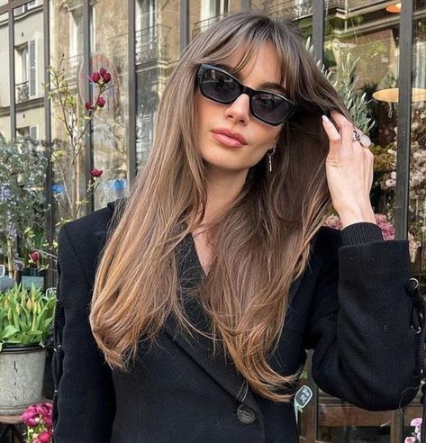 Brunette Hair With Highlights, Fringe Hairstyles, Long Black Hair, Hair Stylist Life, Hair Inspo Color, Hair Envy, Brunette Hair, Hair Dos, Gorgeous Hair